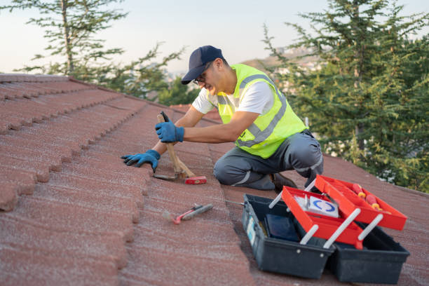 Best Sealant for Roof  in Zephyrhills South, FL
