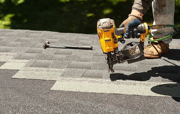 Best Roof Gutter Cleaning  in Zephyrhills South, FL