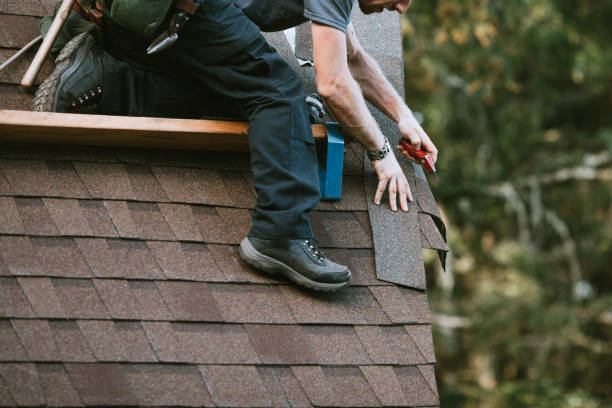 Quick and Trustworthy Emergency Roof Repair Services in Zephyrhills South, FL